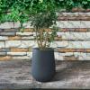 imageKante 28quot21quot14quot H Round Pure White Concrete Tall Planters Set of 3 Indoor Large Planter Pots Containers for Patio Balcony Backyard Living RoomCharcoal