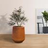 imageKante 28quot21quot14quot H Round Pure White Concrete Tall Planters Set of 3 Indoor Large Planter Pots Containers for Patio Balcony Backyard Living RoomIron Oxide