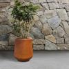 imageKante 28quot21quot14quot H Round Pure White Concrete Tall Planters Set of 3 Indoor Large Planter Pots Containers for Patio Balcony Backyard Living RoomIron Oxide