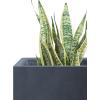imageKante 10 Inch Square Concrete Planter for Outdoor Indoor Home Patio Garden Large Plant Pot with Drainage Hole and Rubber Plug Pure WhiteCharcoal