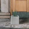 imageKante 10 Inch Square Concrete Planter for Outdoor Indoor Home Patio Garden Large Plant Pot with Drainage Hole and Rubber Plug Pure WhiteConcrete Gray