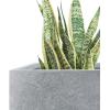 imageKante 10 Inch Square Concrete Planter for Outdoor Indoor Home Patio Garden Large Plant Pot with Drainage Hole and Rubber Plug Pure WhiteLight Gray
