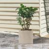 imageKante 10 Inch Square Concrete Planter for Outdoor Indoor Home Patio Garden Large Plant Pot with Drainage Hole and Rubber Plug Pure WhiteWeathered Gray