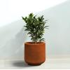 imageKante 116quot Dia Round Concrete Planter Outdoor Indoor Large Plant Pots Containers with Drainage Hole and Rubber Plug for Home Garden Patio Pure WhiteIron Oxide