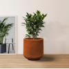 imageKante 116quot Dia Round Concrete Planter Outdoor Indoor Large Plant Pots Containers with Drainage Hole and Rubber Plug for Home Garden Patio Pure WhiteIron Oxide