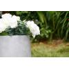 imageKante 116quot Dia Round Concrete Planter Outdoor Indoor Large Plant Pots Containers with Drainage Hole and Rubber Plug for Home Garden Patio Pure WhiteNatural Concrete