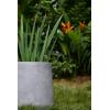imageKante 116quot Dia Round Concrete Planter Outdoor Indoor Large Plant Pots Containers with Drainage Hole and Rubber Plug for Home Garden Patio Pure WhiteNatural Concrete