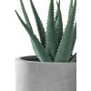 imageKante 13quot11quot9quot Dia Pure White Concrete Round Planters Set of 3 Outdoor Indoor Modern Planter Pots Lightweight Weather Resistant Seamless with Drainage HoleNatural Concrete