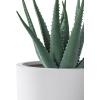 imageKante 13quot11quot9quot Dia Pure White Concrete Round Planters Set of 3 Outdoor Indoor Modern Planter Pots Lightweight Weather Resistant Seamless with Drainage HolePure White