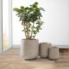 imageKante 153quot116quot82quot Dia Round Concrete Planter Large Outdoor Indoor Planter Pots Containers with Drainage Holes and Rubber Plug for Home Garden Patio Pure WhiteWeathered Concrete
