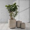 imageKante 153quot116quot82quot Dia Round Concrete Planter Large Outdoor Indoor Planter Pots Containers with Drainage Holes and Rubber Plug for Home Garden Patio Pure WhiteWeathered Concrete