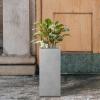 imageKante 203quot H Tall Rectangular Concrete Planter Modern Square Diameter Plant Pot with Drainage Hole and Rubber Plug for Indoor Outdoor Home Patio Garden Pure WhiteNatural Concrete