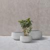 imageKante 216quot169quotand 125quot Dia Round Pure White Elegant Planters Set of 3 Outdoor Indoor Garden Plant Pot with Drainage Hole and Rubber Plug for Home ampamp PatioNatural Concrete