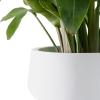 imageKante 216quot169quotand 125quot Dia Round Pure White Elegant Planters Set of 3 Outdoor Indoor Garden Plant Pot with Drainage Hole and Rubber Plug for Home ampamp PatioPure White