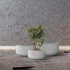 imageKante 216quot169quotand 125quot Dia Round Pure White Elegant Planters Set of 3 Outdoor Indoor Garden Plant Pot with Drainage Hole and Rubber Plug for Home ampamp PatioNatural Concrete