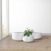 imageKante 216quot169quotand 125quot Dia Round Pure White Elegant Planters Set of 3 Outdoor Indoor Garden Plant Pot with Drainage Hole and Rubber Plug for Home ampamp PatioPure White