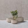 imageKante 216quot169quotand 125quot Dia Round Pure White Elegant Planters Set of 3 Outdoor Indoor Garden Plant Pot with Drainage Hole and Rubber Plug for Home ampamp PatioWeathered Concrete