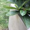 imageKante 232quot L Long Rectangular Concrete Planter Large Outdoor Indoor Garden Pots with Drainage Hole and Rubber Plug Pure WhiteBuff Concrete