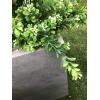 imageKante 232quot L Long Rectangular Concrete Planter Large Outdoor Indoor Garden Pots with Drainage Hole and Rubber Plug Pure WhiteGray Concrete