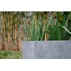 imageKante 232quot L Long Rectangular Concrete Planter Large Outdoor Indoor Garden Pots with Drainage Hole and Rubber Plug Pure WhiteNatural Concrete