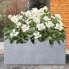 imageKante 232quot L Long Rectangular Concrete Planter Large Outdoor Indoor Garden Pots with Drainage Hole and Rubber Plug Pure WhiteSlate Gray
