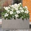 imageKante 232quot L Long Rectangular Concrete Planter Large Outdoor Indoor Garden Pots with Drainage Hole and Rubber Plug Pure WhiteWeathered Concrete