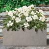imageKante 232quot L Long Rectangular Concrete Planter Large Outdoor Indoor Garden Pots with Drainage Hole and Rubber Plug Pure WhiteWeathered Concrete