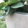 imageKante 232quot L Long Rectangular Concrete Planter Large Outdoor Indoor Garden Pots with Drainage Hole and Rubber Plug Pure WhiteWeathered Concrete