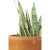 imageKante 236quot H Pure White Concrete Tall Planters Set of 2 Large Outdoor Indoor Decorative Plant Pots with Drainage Hole and Rubber Plug Modern Style for Home and GardenIron Oxide