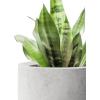 imageKante 236quot H Pure White Concrete Tall Planters Set of 2 Large Outdoor Indoor Decorative Plant Pots with Drainage Hole and Rubber Plug Modern Style for Home and GardenNatural Concrete