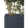 imageKante 236quot L Rectangular Concrete Planters Outdoor Indoor Modern Plant Pot with Drainage Hole and Rubber Plug for Garden Patio Pure White FinishCharcoal