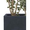 imageKante 236quot L Rectangular Concrete Planters Outdoor Indoor Modern Plant Pot with Drainage Hole and Rubber Plug for Garden Patio Pure White FinishCharcoal
