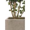 imageKante 236quot L Rectangular Concrete Planters Outdoor Indoor Modern Plant Pot with Drainage Hole and Rubber Plug for Garden Patio Pure White FinishWeathered Concrete