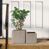 imageKante 236quot L Rectangular Concrete Planters Outdoor Indoor Modern Plant Pot with Drainage Hole and Rubber Plug for Garden Patio Pure White FinishWeathered Concrete