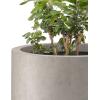 imageKante 24 Inch Tall Round Concrete Planter Large Indoor Outdoor Plant Pots with Drainage Hole and Rubber Plug Modern Decorative Garden Pots for Home Patio Porch CharcoalWeathered Concrete