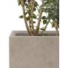 imageKante 157quot H Tall Rectangular Concrete Planters Outdoor Indoor Lightweight Plant Pots with Drainage Hole and Rubber Plug Modern Style for Home Garden Patio CharcoalWeathered Concrete