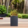 imageKante 157quot H Tall Rectangular Concrete Planters Outdoor Indoor Lightweight Plant Pots with Drainage Hole and Rubber Plug Modern Style for Home Garden Patio CharcoalCharcoal