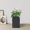 imageKante 157quot H Tall Rectangular Concrete Planters Outdoor Indoor Lightweight Plant Pots with Drainage Hole and Rubber Plug Modern Style for Home Garden Patio CharcoalCharcoal