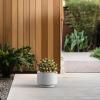 imageKante 126 Inch Dia Concrete Planter Round Pedestal Design Garden Pot for Indoor Outdoor Plants Modern Flower Pot with Drainage Hole and Rubber Plug Natural ConcreteWhite