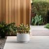 imageKante 126 Inch Dia Concrete Planter Round Pedestal Design Garden Pot for Indoor Outdoor Plants Modern Flower Pot with Drainage Hole and Rubber Plug Natural ConcreteWhite