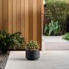 imageKante 126 Inch Dia Concrete Planter Round Pedestal Design Garden Pot for Indoor Outdoor Plants Modern Flower Pot with Drainage Hole and Rubber Plug Natural ConcreteBlack
