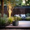 imageKante 126 Inch Dia Concrete Planter Round Pedestal Design Garden Pot for Indoor Outdoor Plants Modern Flower Pot with Drainage Hole and Rubber Plug Natural ConcreteBlack