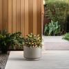imageKante 126 Inch Dia Concrete Planter Round Pedestal Design Garden Pot for Indoor Outdoor Plants Modern Flower Pot with Drainage Hole and Rubber Plug Natural ConcreteWeathered Concrete