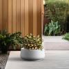 imageKante 161quot Dia Round Curvy Concrete Planter Large Plant Pots with Drainage Hole and Rubber Plug for Indoor Outdoor Plants Flower Pot for Home Garden Patio Porch CharcoalWhite