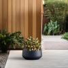 imageKante 161quot Dia Round Curvy Concrete Planter Large Plant Pots with Drainage Hole and Rubber Plug for Indoor Outdoor Plants Flower Pot for Home Garden Patio Porch CharcoalCharcoal