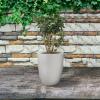 imageKante 181quot H Tall Round Concrete Planter for Outdoor Indoor Modern Decorative Plant Pots with Drainage Hole ampamp Rubber Plug for Home Patio Garden CharcoalPure White
