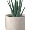 imageKante 181quot H Tall Round Concrete Planter for Outdoor Indoor Modern Decorative Plant Pots with Drainage Hole ampamp Rubber Plug for Home Patio Garden CharcoalWeathered Concrete