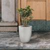 imageKante 181quot H Tall Round Concrete Planter for Outdoor Indoor Modern Decorative Plant Pots with Drainage Hole ampamp Rubber Plug for Home Patio Garden CharcoalPure White