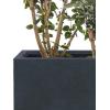 imageKante 236 Inch Tall Rectangular Concrete Planter Modern Outdoor Indoor Plant Pots with Drainage Holes and Rubber Plug for Home Patio Garden Charcoal