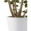 imageKante Round Tapered Concrete Planters Set of 3 183quot153quot and 124quot Dia Flower Pot with Drainage Hole and Rubber Plug for Indoor Outdoor Plants Large Plant Pot for Home Garden Patio CharcoalWhite